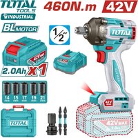 Total TIWLI42461 (с 1-им АКБ, кейс)