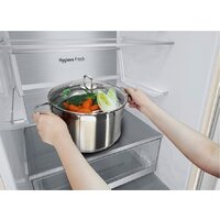 LG DoorCooling+ GC-B509AEPW Image #4