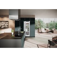 Liebherr SIFNe 5188 Peak Image #10