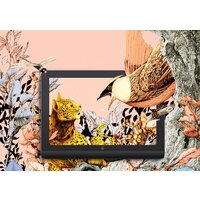 XP-Pen Artist Pro 16 MD160QH (2-ое поколение, с кабелем AD41) Image #5