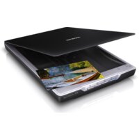 Epson Perfection V19 Image #5