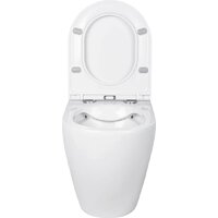 Roxen Antares в комплекте с инсталляцией StounFix Dual Fresh 6 в 1 533395 (кнопка: белый глянец) Image #8