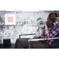 Bose Bass Module 500 Image #6