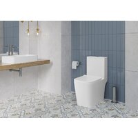 Lauter W09 S-TRAP с жестким сиденьем и микролифтом 21900004 (вертикальный выпуск) Image #9