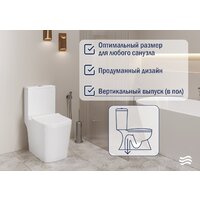 Lauter W09 S-TRAP с жестким сиденьем и микролифтом 21900004 (вертикальный выпуск) Image #2