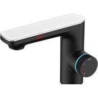 Berges Wasserhaus Morans 076002 (черный матовый)