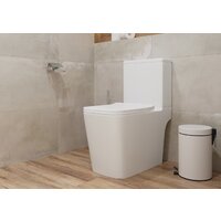 Lauter W09 S-TRAP с полипропиленовым сиденьем и микролифтом 21900003 (вертикальный выпуск) Image #6