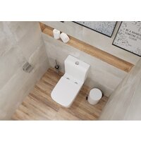 Lauter W09 S-TRAP с полипропиленовым сиденьем и микролифтом 21900003 (вертикальный выпуск) Image #7