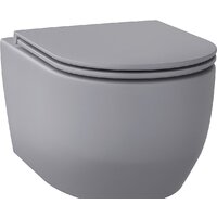 Wellsee Croquis RimFree 182614001 (чаша, пневмокрышка, матовый серый)