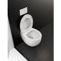 Roxen Egg в комплекте с инсталляцией StounFix Dual Fresh 6 в 1 964077 (кнопка: белый глянец) Image #12