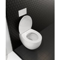 Roxen Egg в комплекте с инсталляцией StounFix Dual Fresh 6 в 1 964077 (кнопка: белый глянец) Image #11