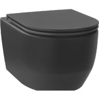 Wellsee Croquis RimFree 182613001 (чаша, пневмокрышка, матовый черный)