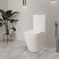 Lauter Vortex 2110012VF + гигиенический душ Rainix 21LT7714GL Image #11