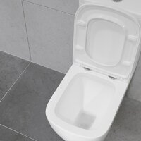 Lauter Vortex 2110012VF + гигиенический душ Rainix 21LT7714GL Image #23