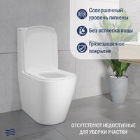 Lauter Vortex 2110012VF + гигиенический душ Rainix 21LT7714GL Image #5