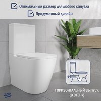 Lauter Vortex 2110012VF + гигиенический душ Rainix 21LT7714GL Image #6