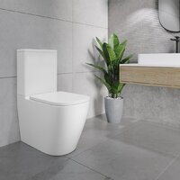 Lauter Vortex 2110012VF + гигиенический душ Rainix 21LT7714GL Image #22