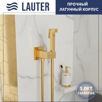Lauter Vortex 2110012VF + гигиенический душ Rainix 21LT7714GL Image #7