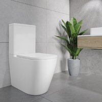 Lauter Vortex 2110012VF + гигиенический душ Rainix 21LT7714GL Image #25