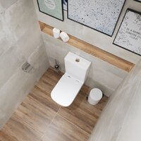 Lauter Vortex 2110012VF + гигиенический душ Rainix 21LT7714GL Image #18