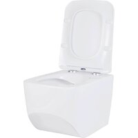 Roxen Boro в комплекте с инсталляцией StounFix Dual Fresh 6 в 1 540025 (кнопка: белый глянец) Image #5