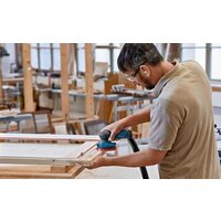 Bosch GEX 12V-125 Professional 0601372101 (без АКБ) Image #2