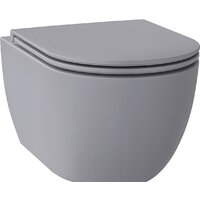 Wellsee Chalice Perfection RimFree 182610001 (чаша, пневмокрышка, матовый серый)