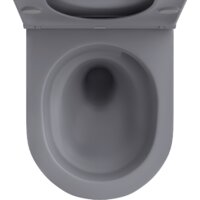 Wellsee Chalice Perfection RimFree 182610001 (чаша, пневмокрышка, матовый серый) Image #3