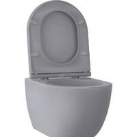 Wellsee Chalice Perfection RimFree 182610001 (чаша, пневмокрышка, матовый серый) Image #2