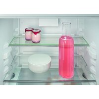 Liebherr ICNe 5133 Plus NoFrost Image #11