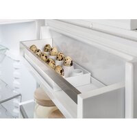 Liebherr ICNe 5133 Plus NoFrost Image #8