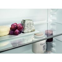 Liebherr ICNe 5133 Plus NoFrost Image #10