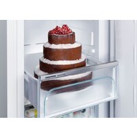 Liebherr ICNe 5133 Plus NoFrost Image #20