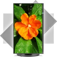 NEC MultiSync E271N-BK Image #4