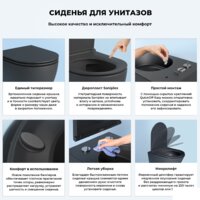 Wellsee Chalice Perfection RimFree 182609001 (чаша, пневмокрышка, матовый черный) Image #6