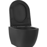 Wellsee Chalice Perfection RimFree 182609001 (чаша, пневмокрышка, матовый черный) Image #2