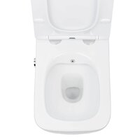 Roxen Cube bidet в комплекте с инсталляцией StounFix Dual Fresh 6 в 1 968472 (кнопка: брашированное золото) Image #7