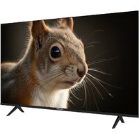 Topdevice 43" SALUTE TV TDWC43BF4260V Image #3