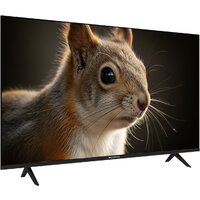 Topdevice 43" SALUTE TV TDWC43BF4260V Image #2