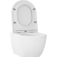 Wellsee Chalice Perfection RimFree 182608001 (чаша, пневмокрышка, матовый белый) Image #2