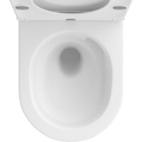 Wellsee Chalice Perfection RimFree 182608001 (чаша, пневмокрышка, матовый белый) Image #3