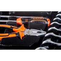 Gigant GAS 119 (119 предметов) Image #7