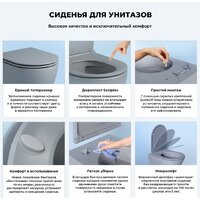 Wellsee Pure BY Wellsee RimFree 182605001 (чаша, пневмокрышка, матовый серый) Image #5