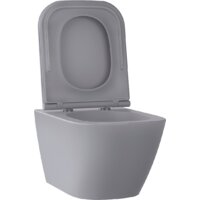 Wellsee Pure BY Wellsee RimFree 182605001 (чаша, пневмокрышка, матовый серый) Image #2