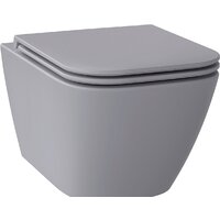 Wellsee Pure BY Wellsee RimFree 182605001 (чаша, пневмокрышка, матовый серый)