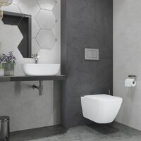 Lauter Nuremberg 21811 + 21901001 (белый, с кнопкой смыва 219702J белый) Image #20