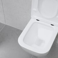 Lauter Nuremberg 21811 + 21901002 (белый, с кнопкой смыва 219702J белый) Image #14