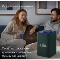 Яндекс Станция Макс (с хабом умного дома Zigbee, зеленый) Image #8