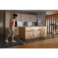 Miele Duoflex HX1 CarCare Image #8