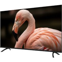 Topdevice 43" WILDRED TDWC43BF2110V Image #2